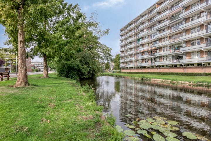 Alkenoord 64 in Capelle aan den IJssel foto