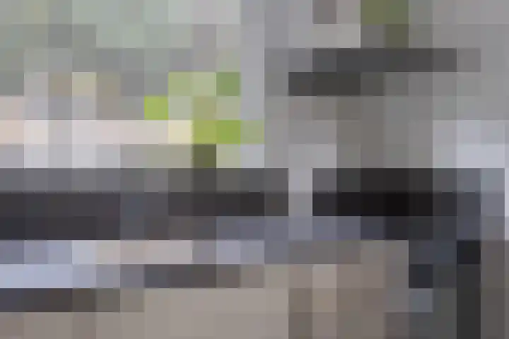 Alkmaarsingel 206 Arnhem thumbnail 8