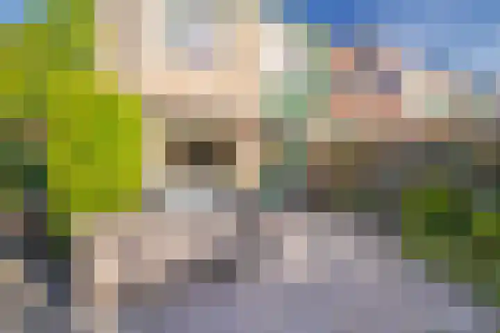 Alkmaarsingel 295 Arnhem thumbnail 19