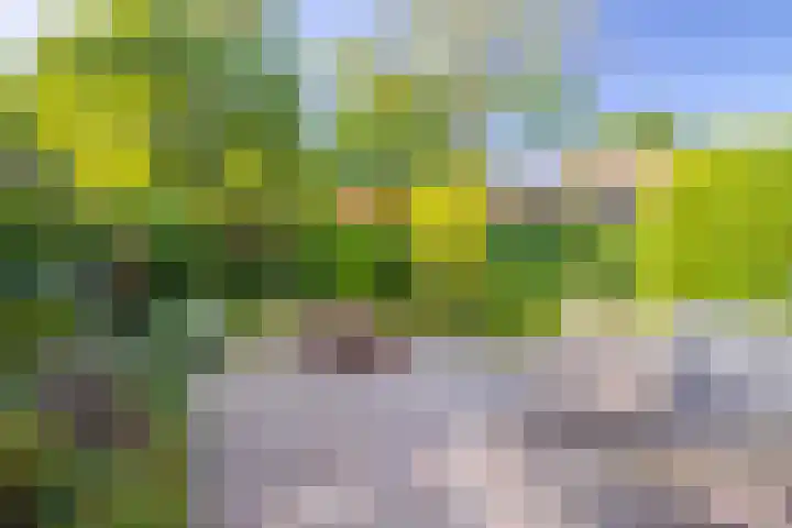 Alkmaarsingel 295 Arnhem thumbnail 21