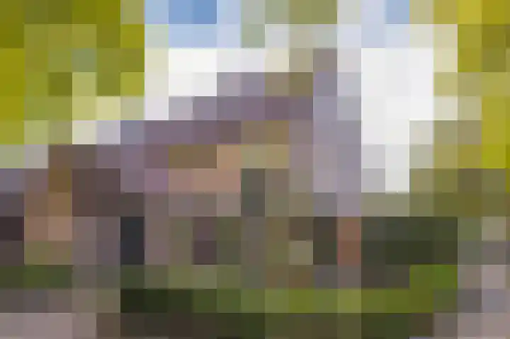Alkmaarsingel 295 Arnhem thumbnail 6
