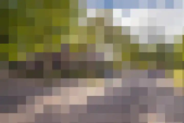 Alkmaarsingel 295 Arnhem thumbnail 7
