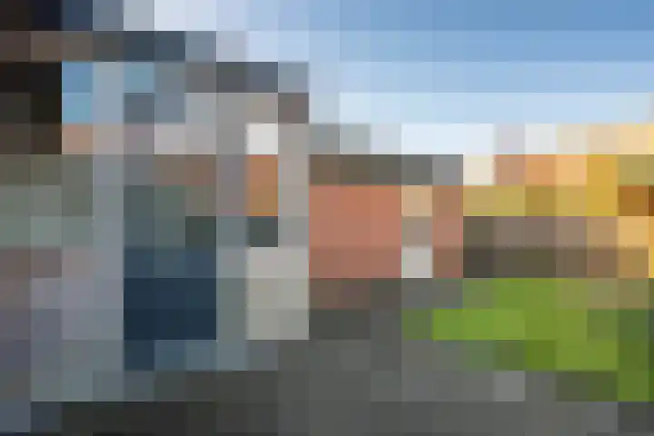 Alkmesschen 75 Assen thumbnail 10