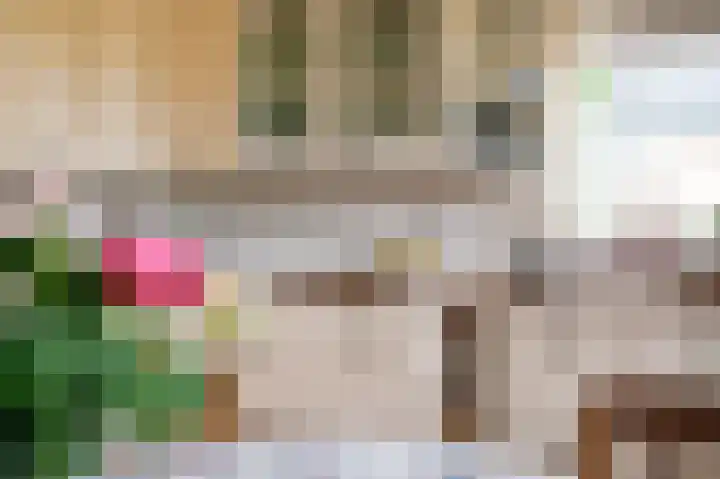 Alkmesschen 75 Assen thumbnail 11