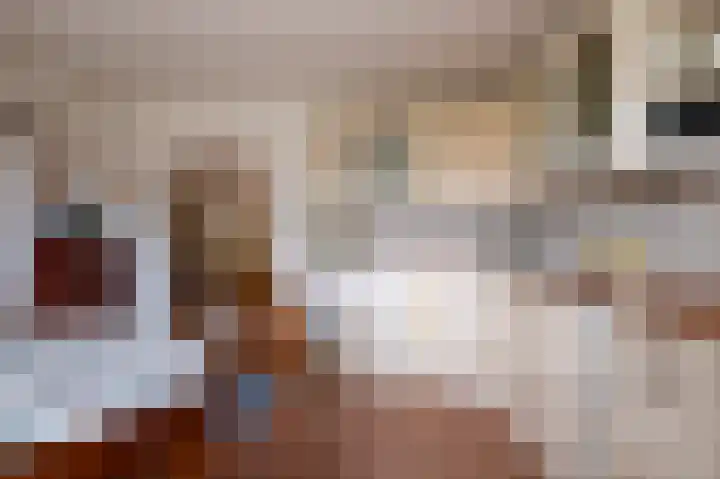 Alkmesschen 75 Assen thumbnail 12