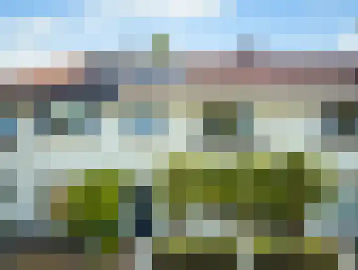 Alkmesschen 75 Assen foto 2