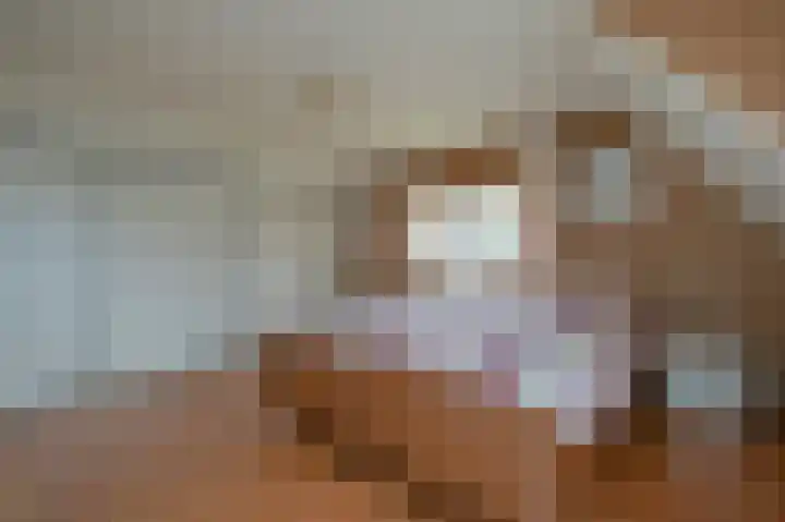 Alkmesschen 75 Assen thumbnail 29