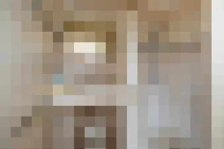 Alkmesschen 75 Assen thumbnail 31