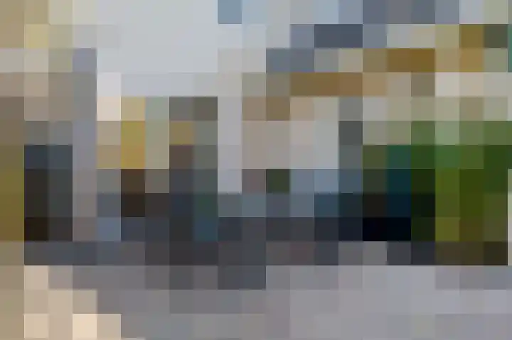 Alkmesschen 75 Assen thumbnail 38