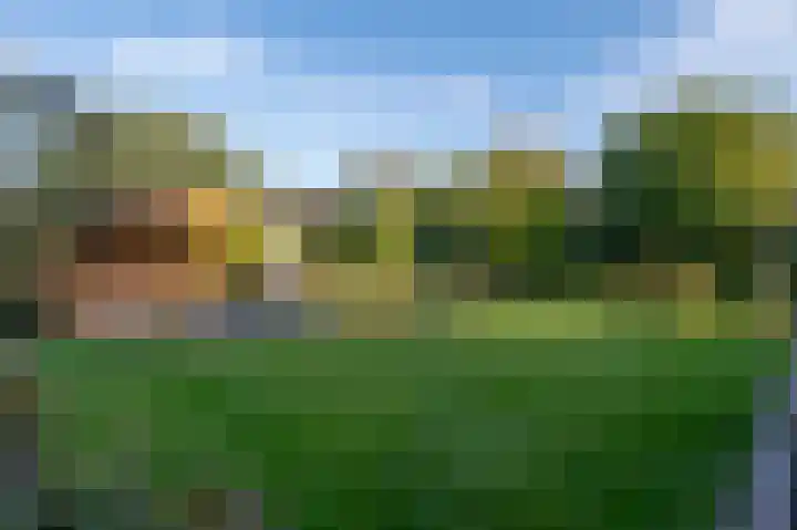 Alkmesschen 75 Assen thumbnail 39