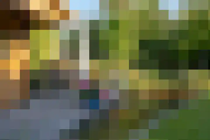 Alkmesschen 75 Assen thumbnail 40