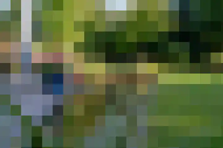 Alkmesschen 75 Assen thumbnail 41