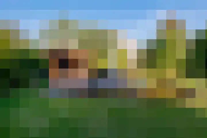 Alkmesschen 75 Assen thumbnail 42