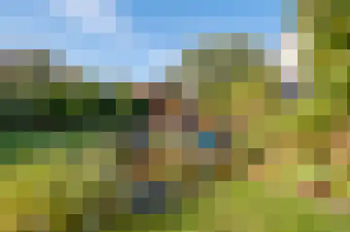 Alkmesschen 75 Assen thumbnail 43