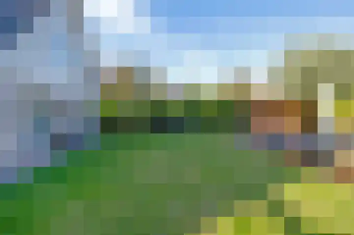 Alkmesschen 75 Assen thumbnail 44