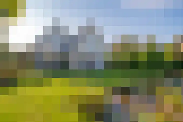 Alkmesschen 75 Assen thumbnail 45