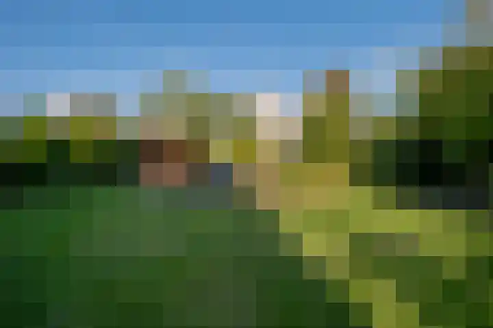 Alkmesschen 75 Assen thumbnail 46