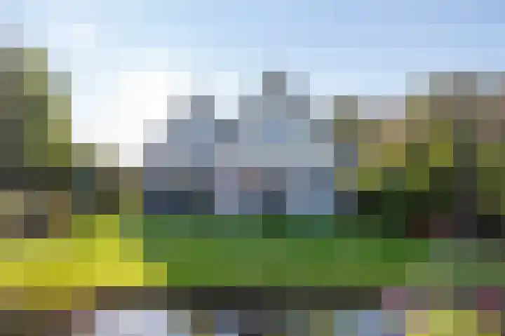 Alkmesschen 75 Assen thumbnail 47