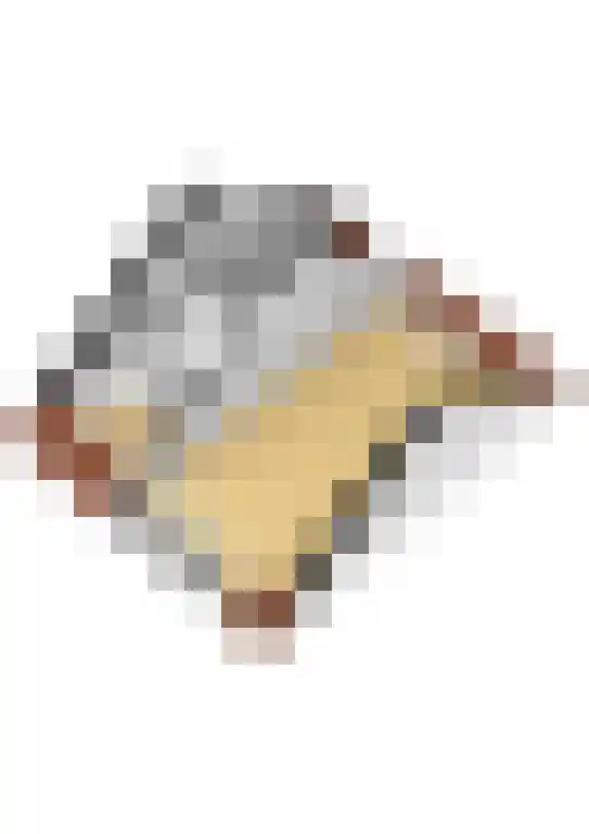 Alkmesschen 75 Assen thumbnail 49