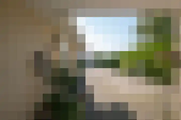 Alkmesschen 75 Assen thumbnail 51