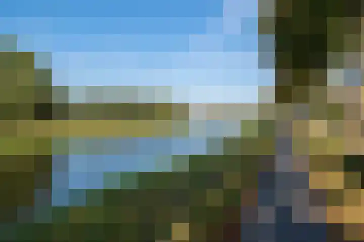 Alkmesschen 75 Assen thumbnail 56