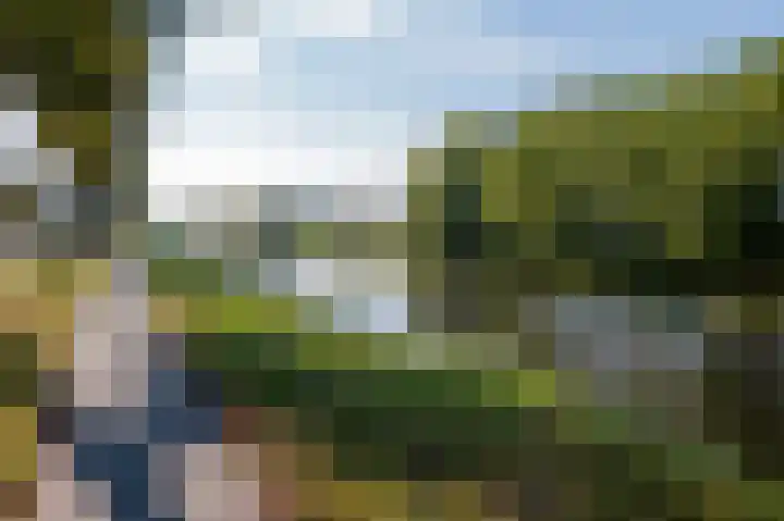 Alkmesschen 75 Assen thumbnail 57