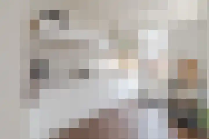 Alkstraat 18 Geldrop thumbnail 13