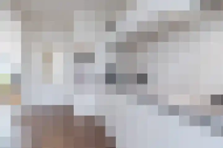 Alkstraat 18 Geldrop thumbnail 14