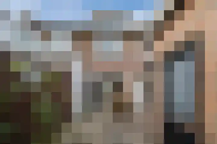 Alkstraat 18 Geldrop thumbnail 41