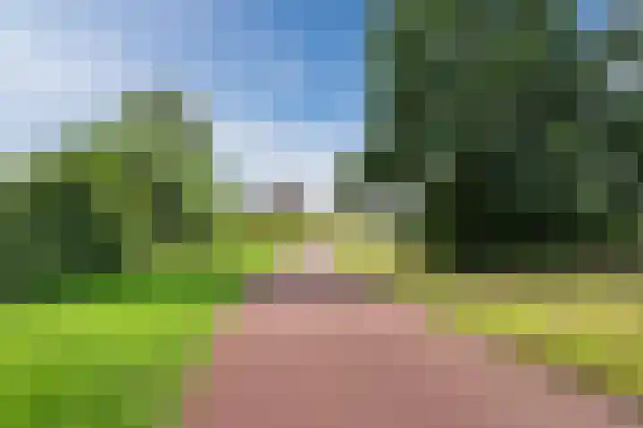 Alkstraat 18 Geldrop thumbnail 44