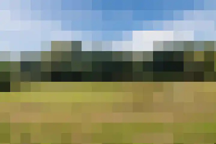 Alkstraat 18 Geldrop thumbnail 47
