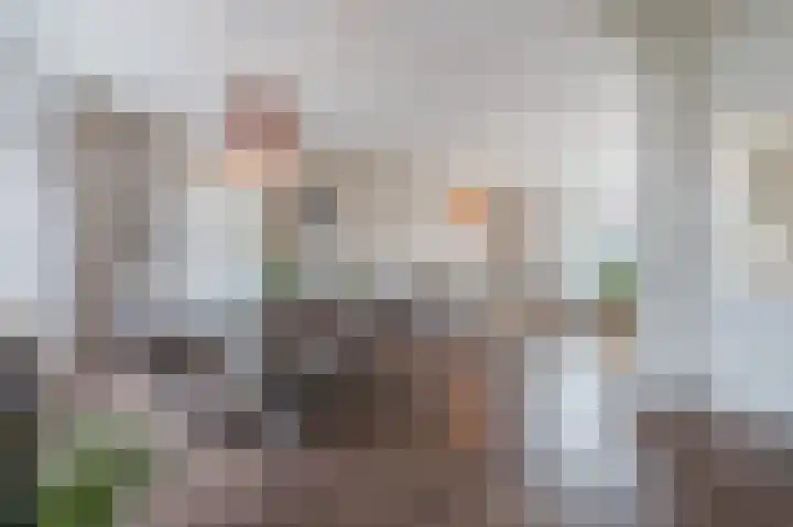 Alkstraat 18 Geldrop thumbnail 9