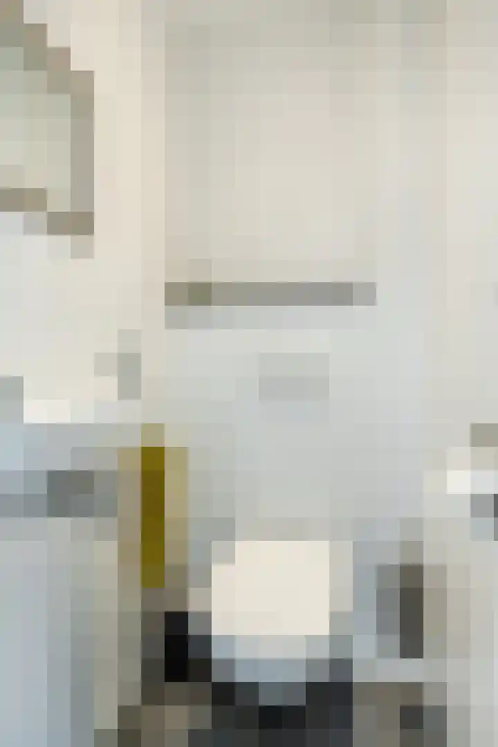 Alkstraat 20 Geldrop thumbnail 14