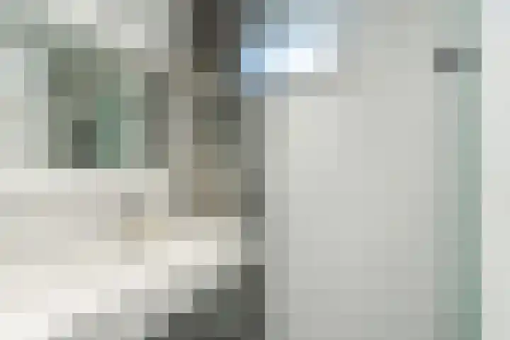 Alkstraat 20 Geldrop thumbnail 21