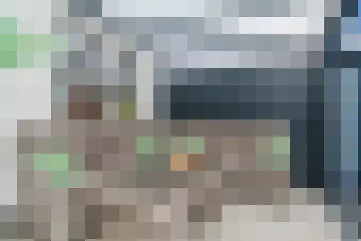 Alkstraat 20 Geldrop thumbnail 30