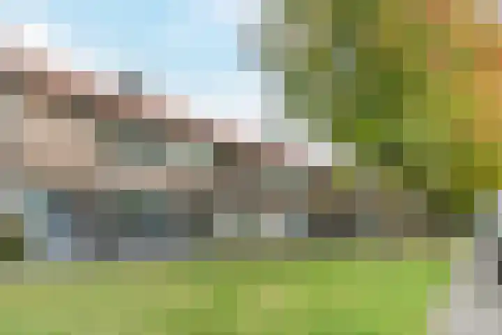 Alkstraat 20 Geldrop thumbnail 36