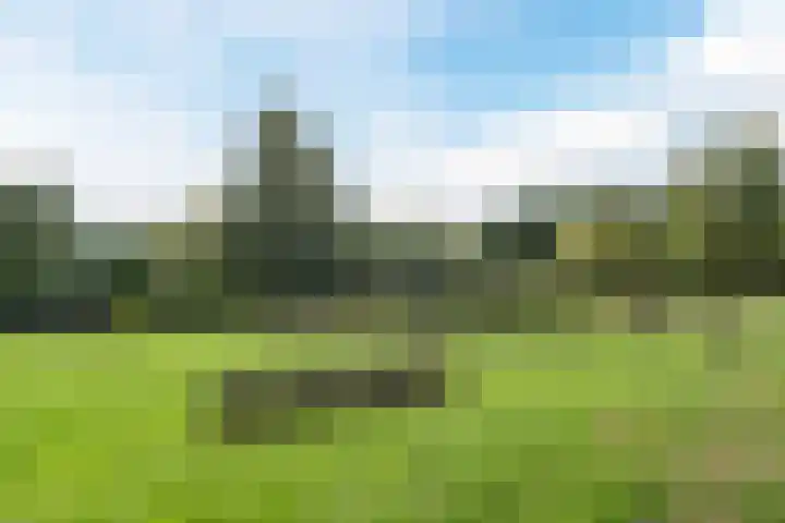 Alkstraat 20 Geldrop thumbnail 37