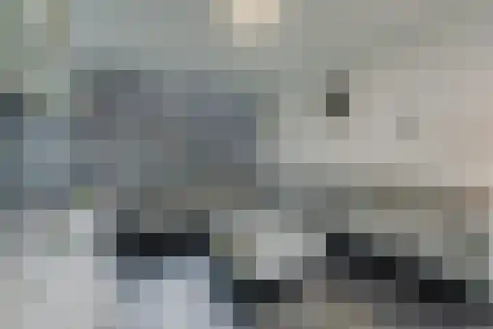 Alkstraat 20 Geldrop thumbnail 6