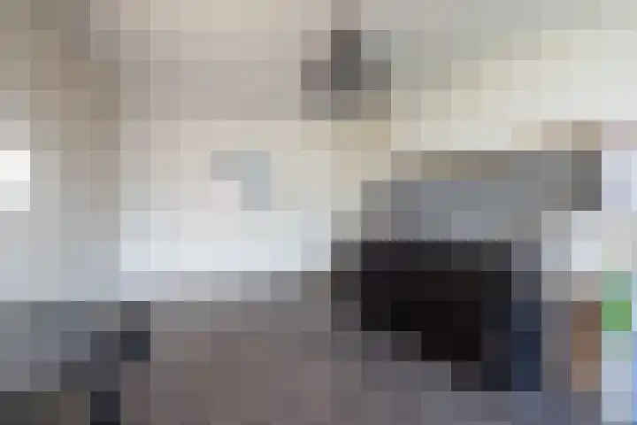 Allee 31 Ulft thumbnail 31