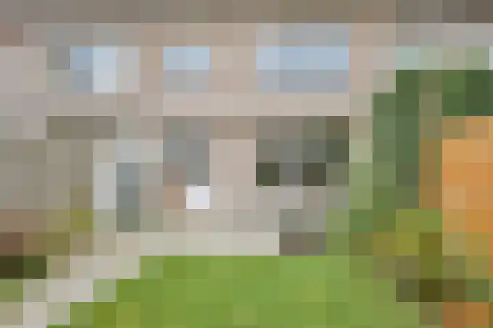 Allerheiligenweg 59 Breda thumbnail 31