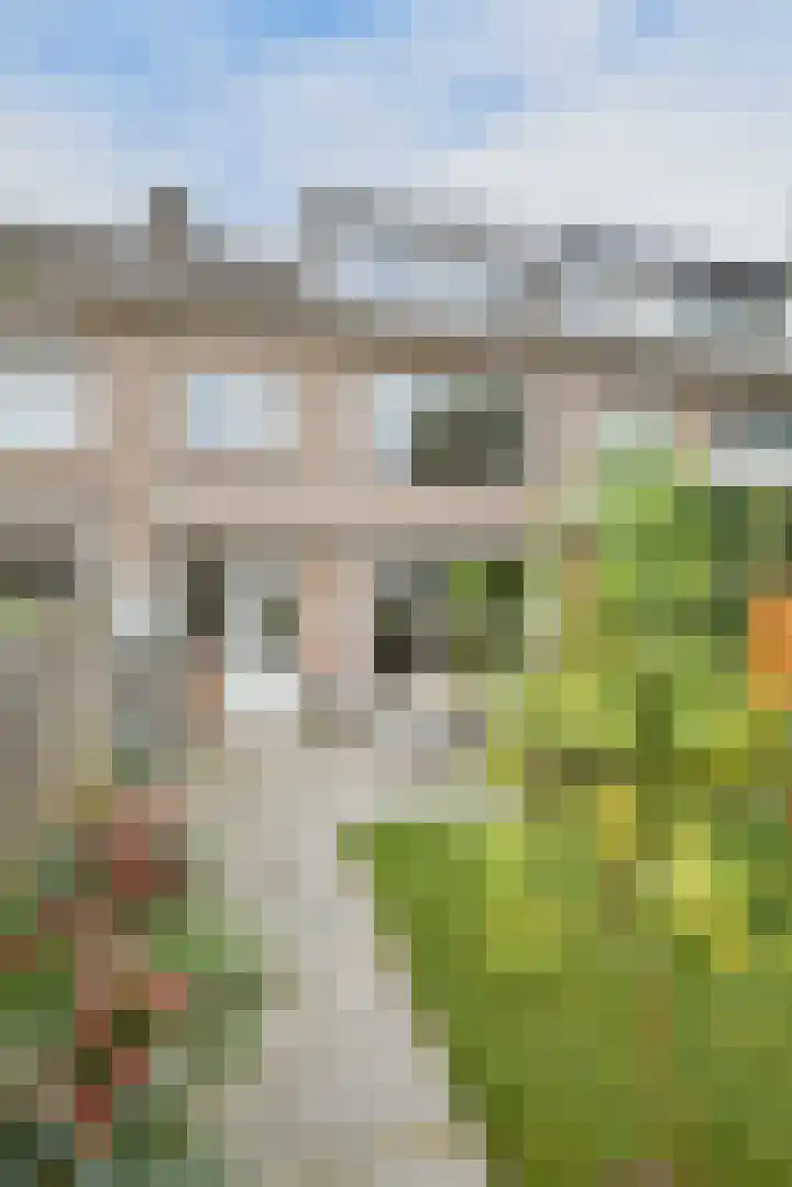 Allerheiligenweg 59 Breda thumbnail 34