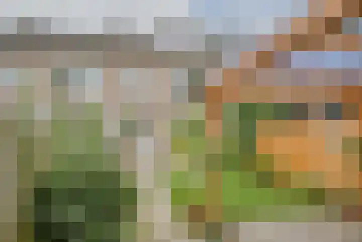 Allerheiligenweg 59 Breda thumbnail 5