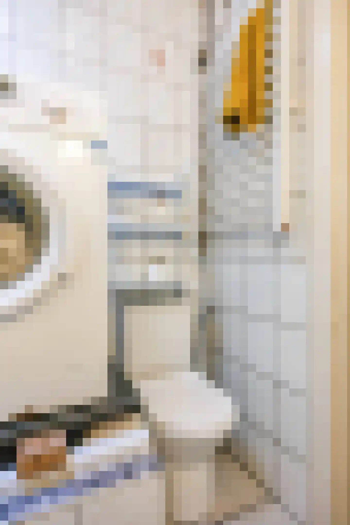 Allersmaweg 4 Ezinge thumbnail 16