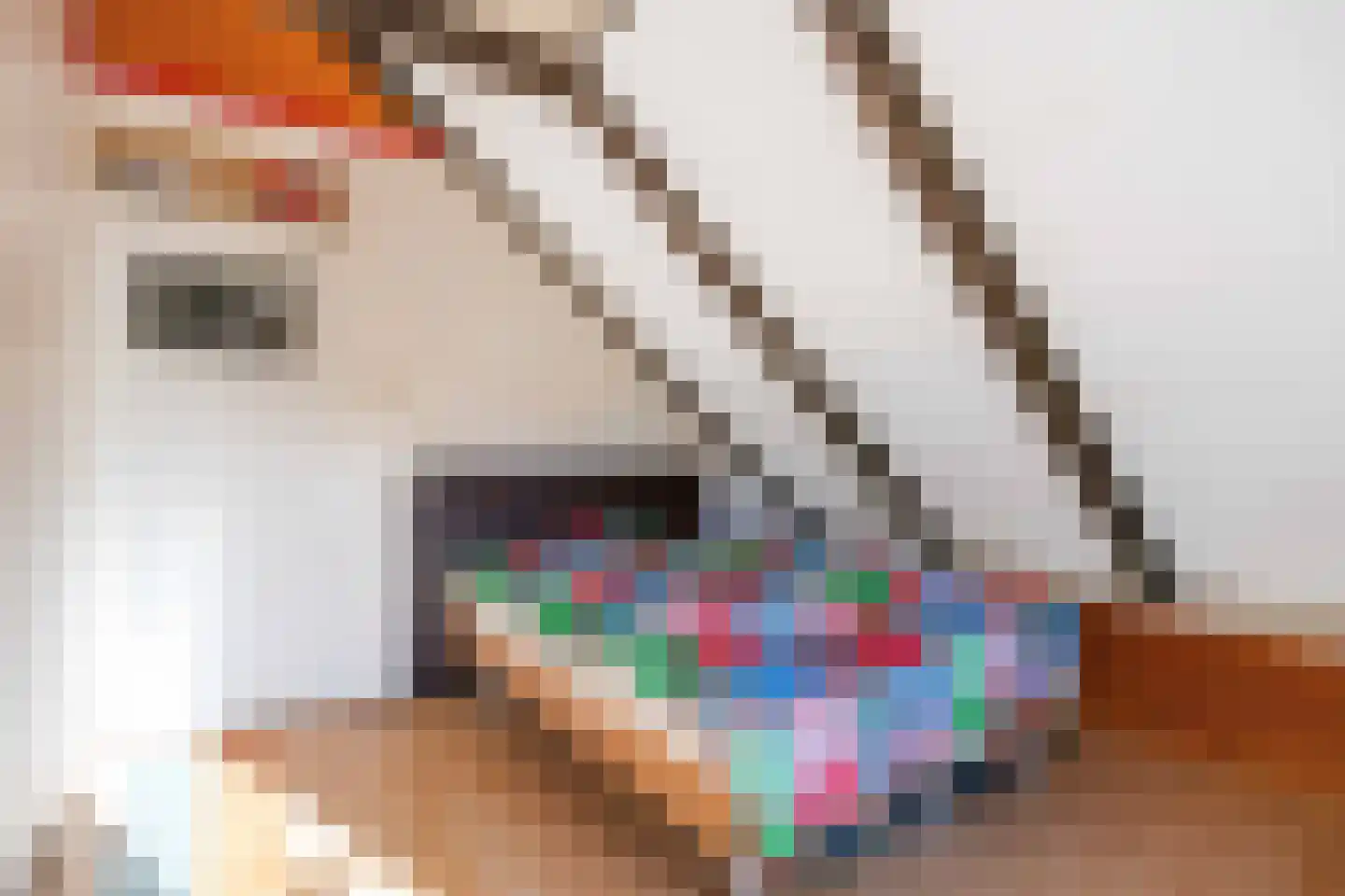 Allersmaweg 4 Ezinge thumbnail 44