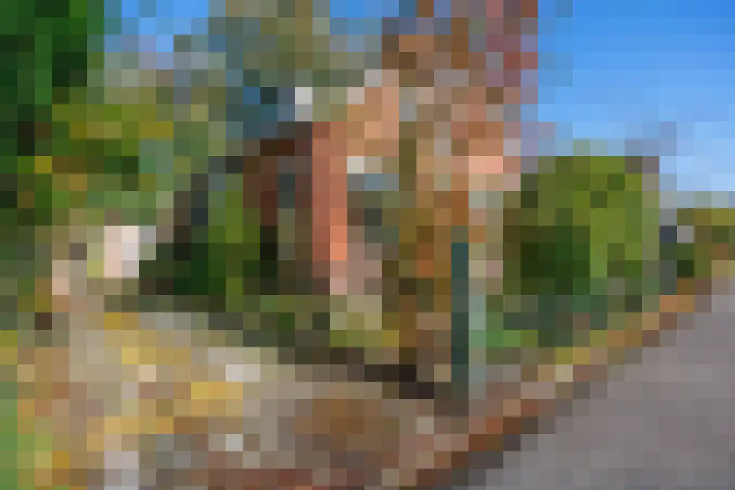 Allersmaweg 4 Ezinge thumbnail 5
