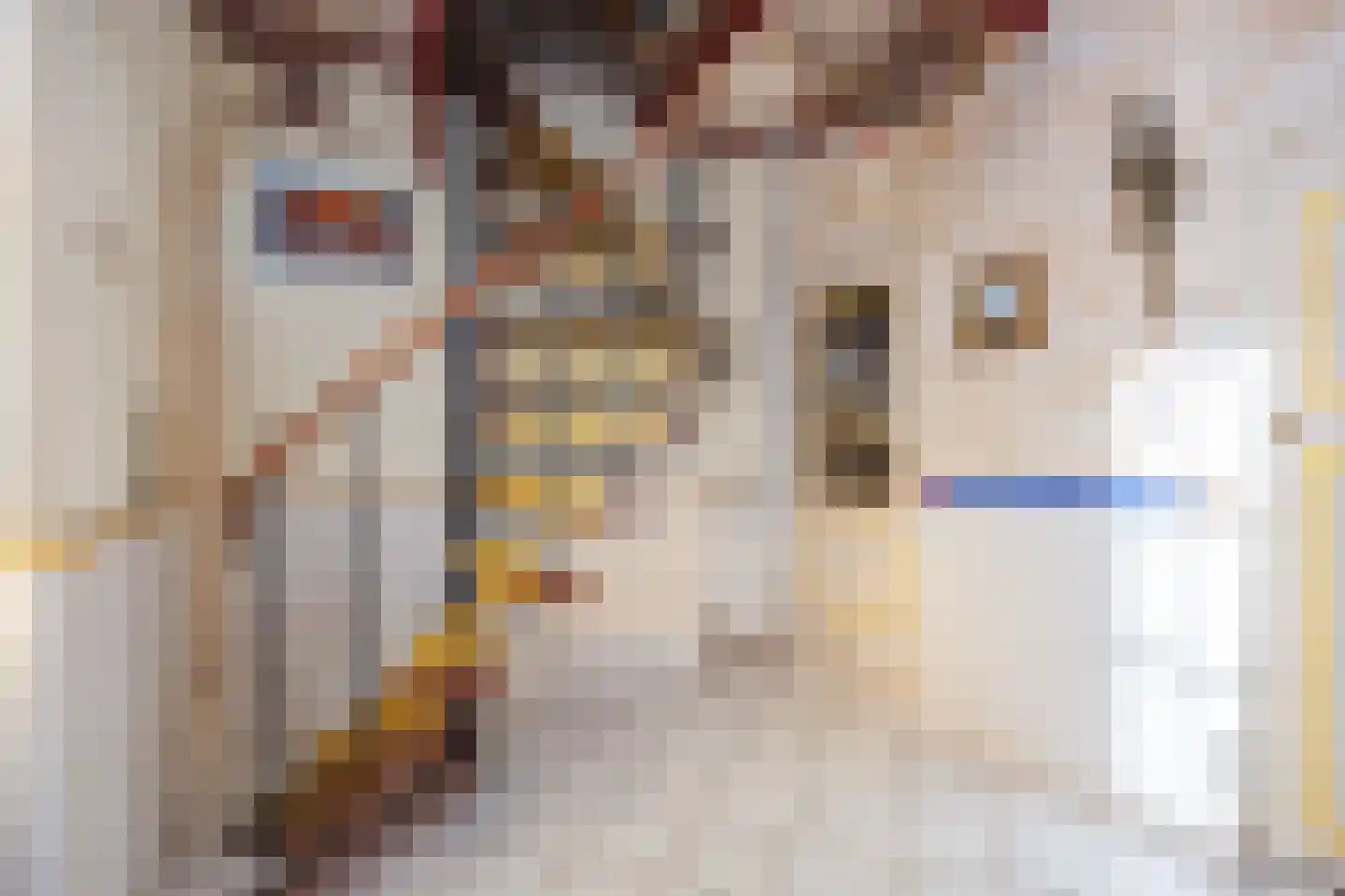 Allersmaweg 4 Ezinge thumbnail 9