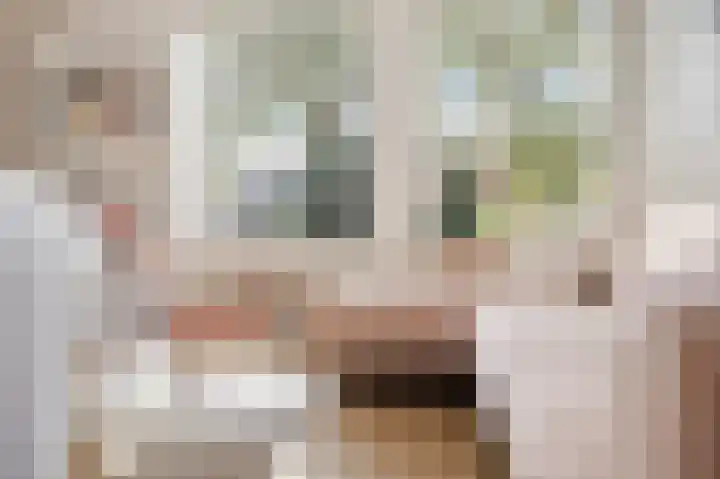 Allingawier 38 Grou thumbnail 17