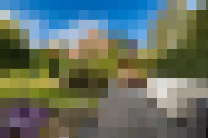 Allingawier 38 Grou thumbnail 38