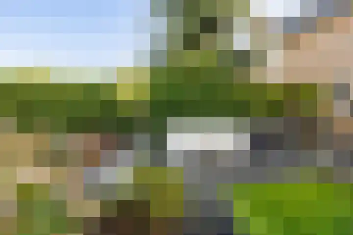 Allingawier 38 Grou thumbnail 43