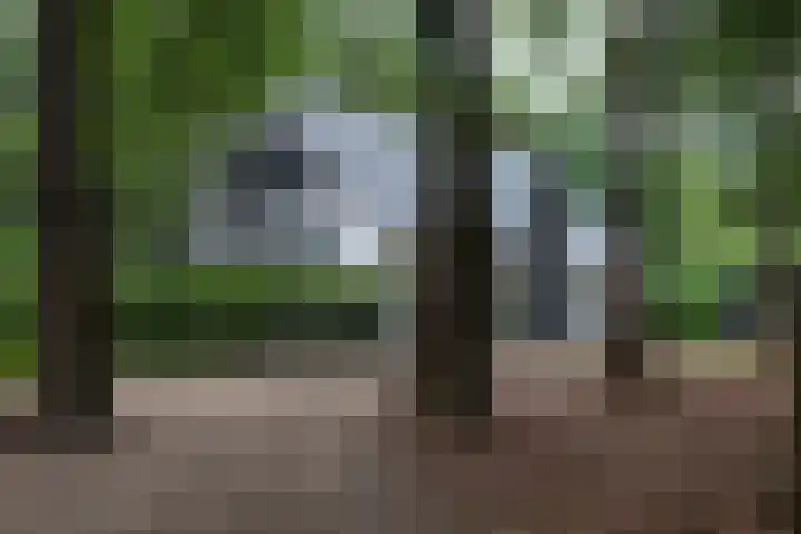 Almenseweg 6 Warnsveld